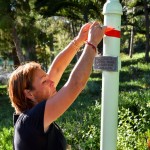 Tying red ribbons on the El Camino Real bells, marking the Trail of Tears